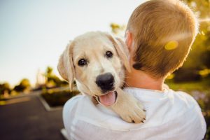 <img src="dog.jpg" alt="dog and boy hugging">