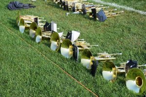 <img src="instruments.jpg" alt="instruments on grass">