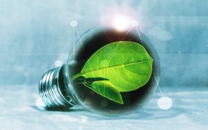 <img src="light bulb.jpg" alt="green leaf in light bulb">