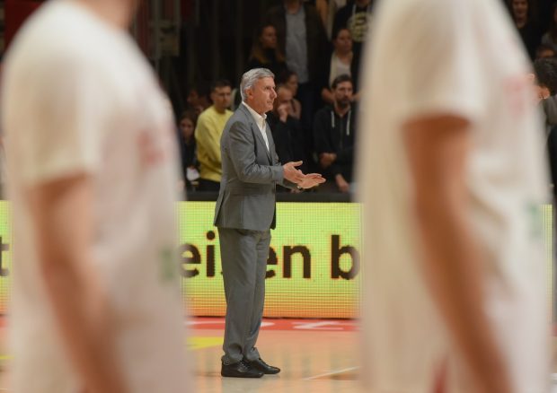 pesic